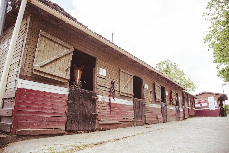 Ecurie Les Petits Chevaux Achères - photo 1