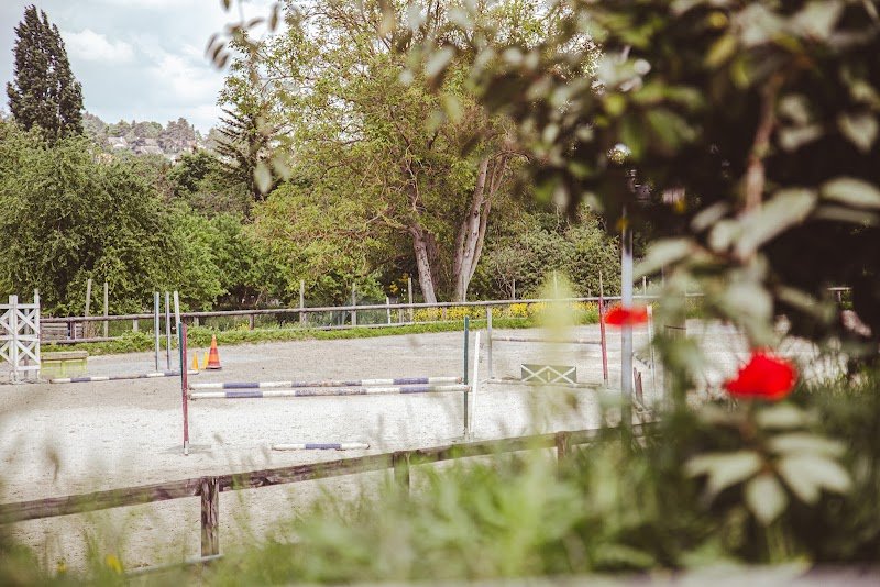 Ecurie Les Petits Chevaux Achères - photo 2