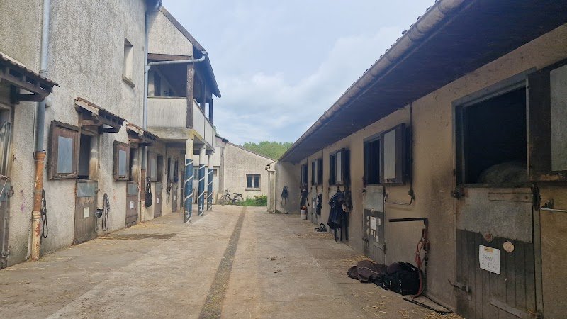 Ecuries Fidelis - photo 2