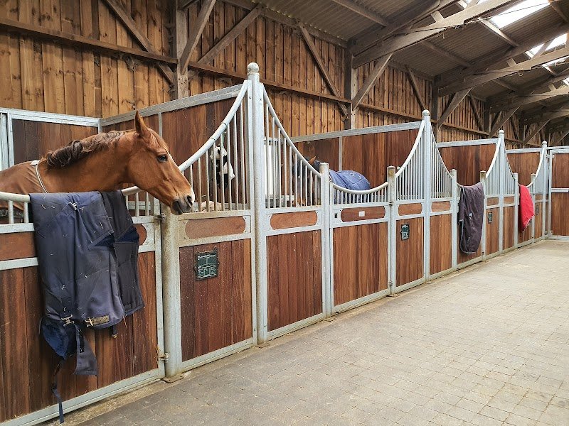 HARAS DE FONTAINEBLEAU - ECURIES SINGER - photo 2