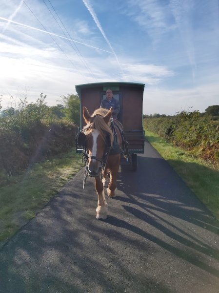 Ecuries de Laleuf - photo 2