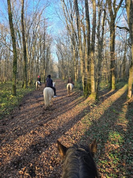 Ecuries de Laleuf - photo 3