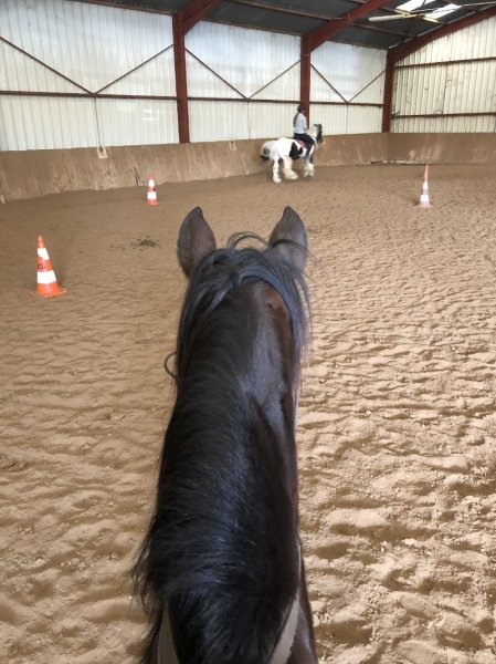 Ecurie du Parc des Lyons - photo 3