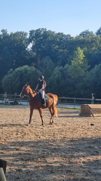 UCPA SPORT LOISIRS CENTRE EQUESTRE DE SAINT MAUR - photo 2