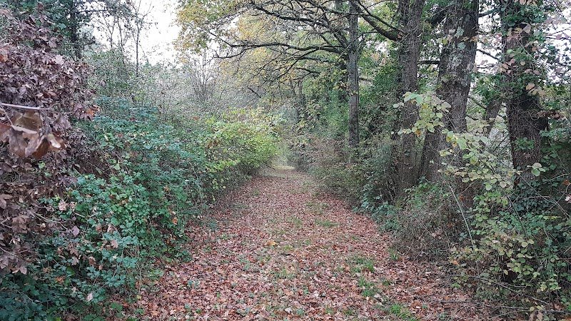 Les Ecuries de la Charriere - photo 1