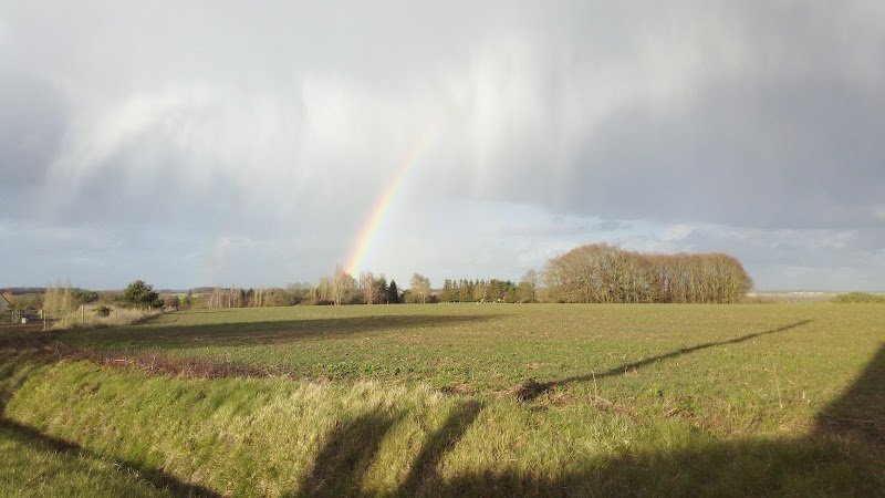 Les Ecuries de la Charriere - photo 2
