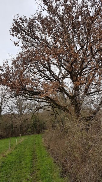 Les Ecuries de la Charriere - photo 3