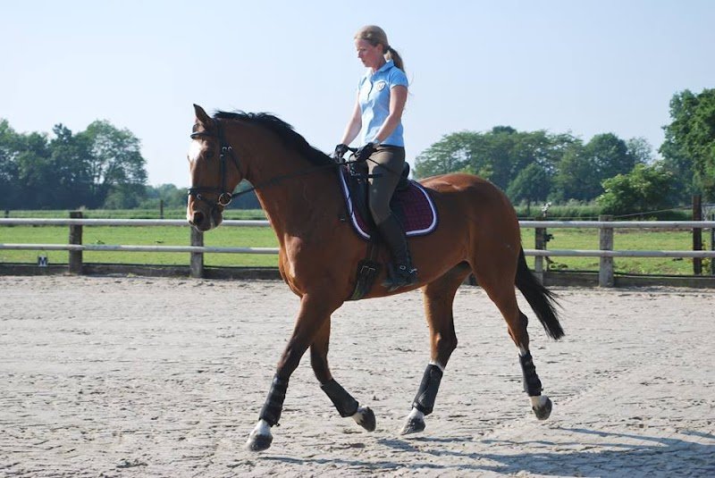 Ecurie des Chartrois - photo 2