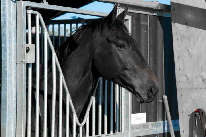 Ecurie des Chartrois - photo 3