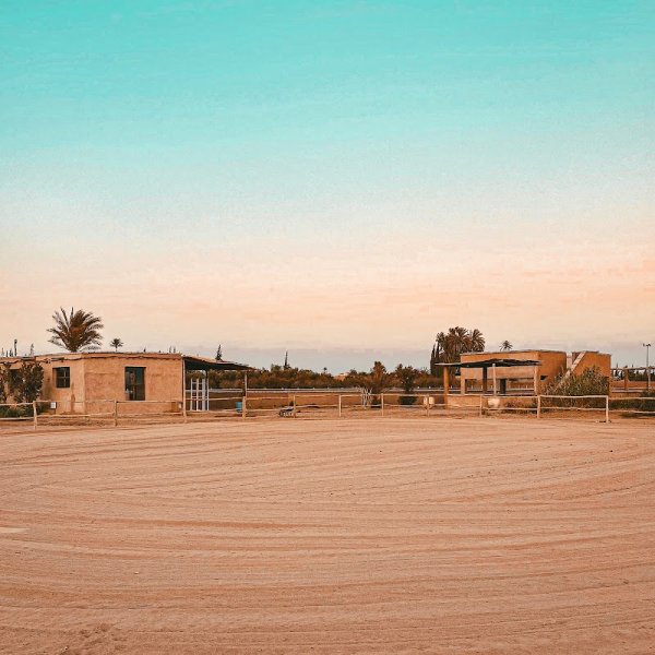 Centre équestre Cimes de l'Atlas (Poney club, balades et pension) - photo 3