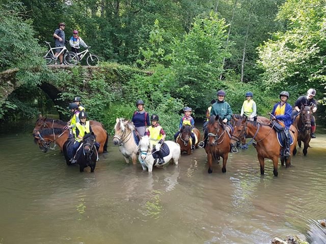 Ecurie Du Noyer - photo 3