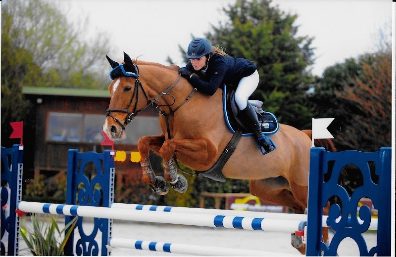 Haras de Laleu - Charlène Burriez - photo 1