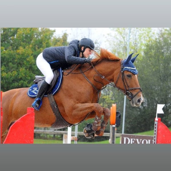 Haras de Laleu - Charlène Burriez - photo 2