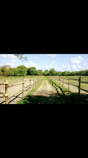 Écuries Maxime Pons - photo 2