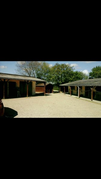 Écuries Maxime Pons - photo 3