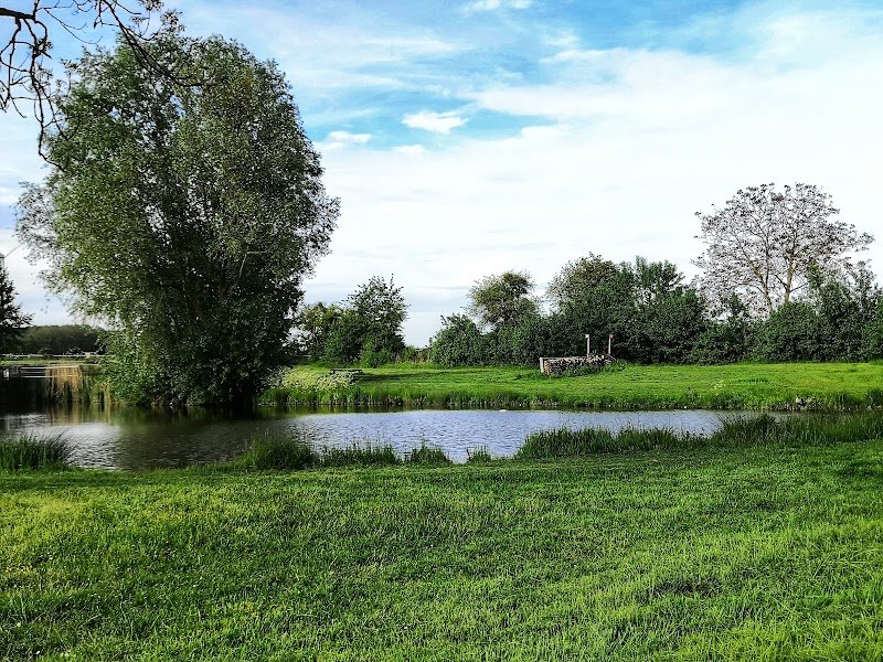 Les Ecuries de la Taulette - photo 3