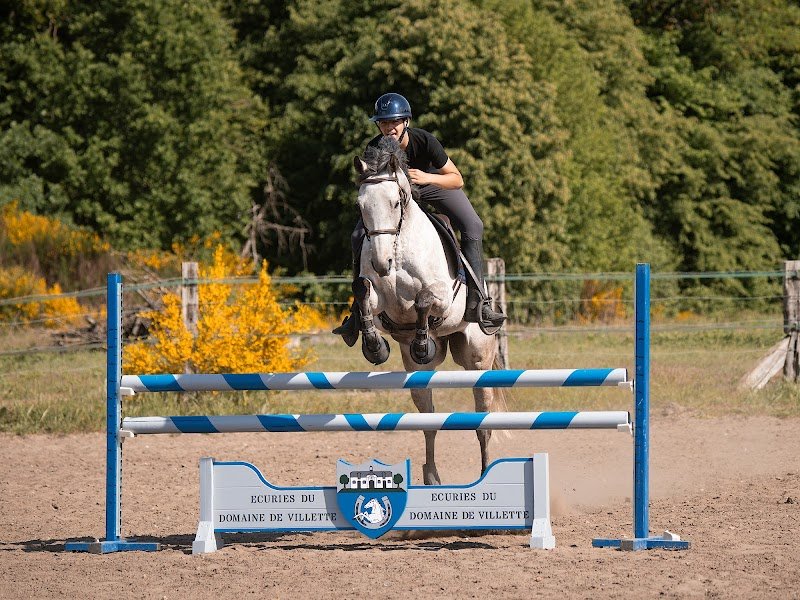 Écuries du Domaine de Villette - photo 2