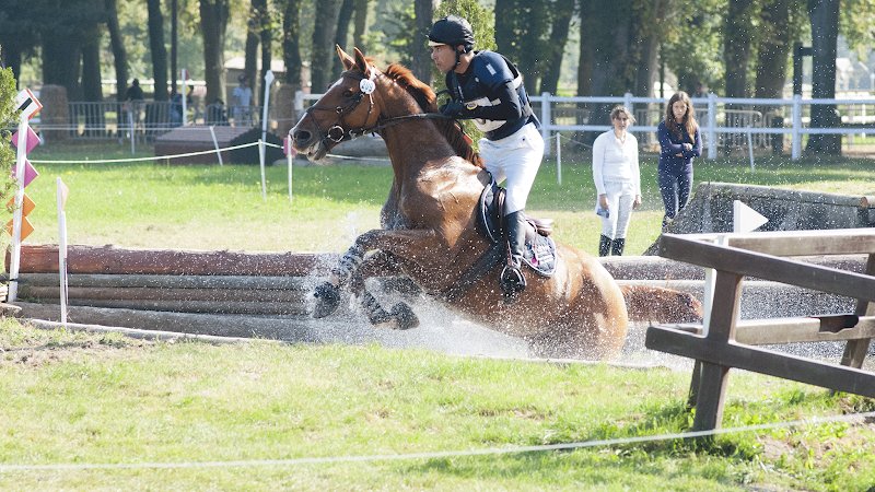 Ecuries du Perche - Frédéric Arnaud - photo 1