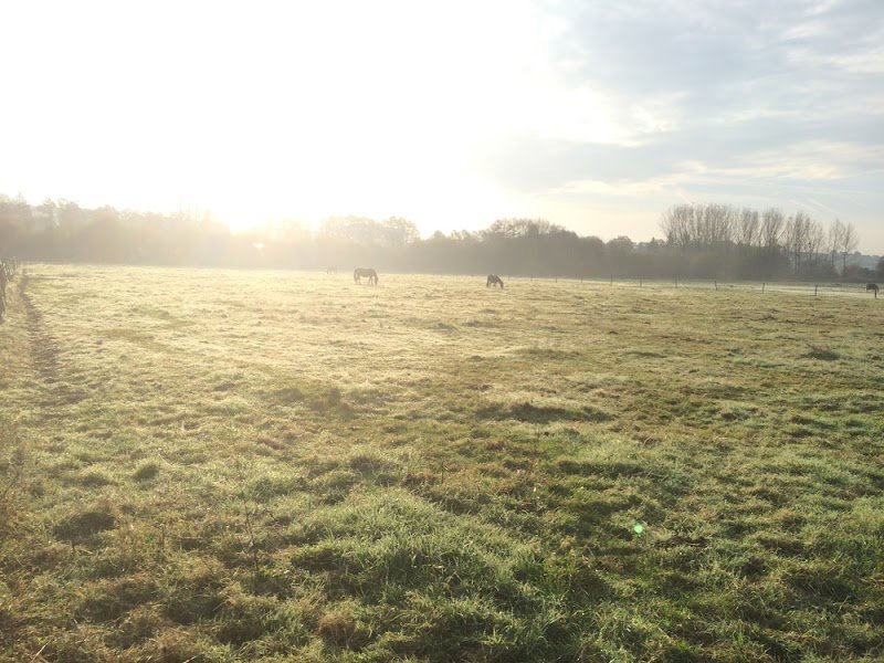 Ecuries du Perche - Frédéric Arnaud - photo 3
