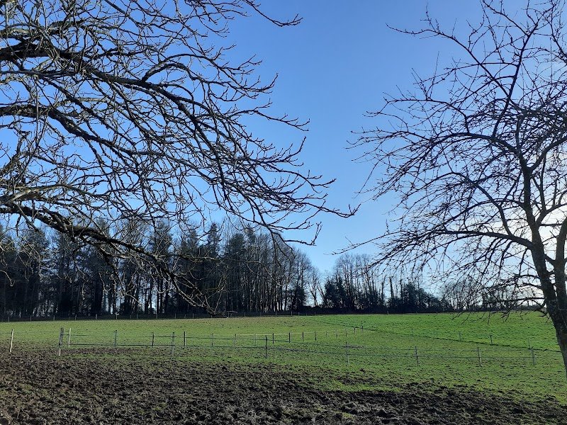 Ecurie la Salesse - photo 1