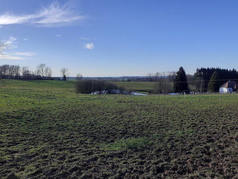 Ecurie la Salesse - photo 2