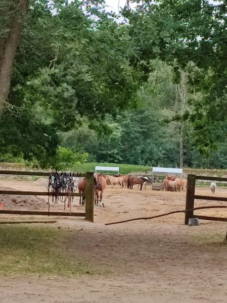 Écuries d'Anadé - photo 2