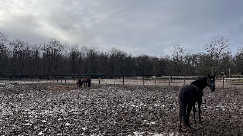 Écuries d'Anadé - photo 3