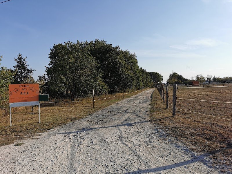 Écuries des ACE - photo 1