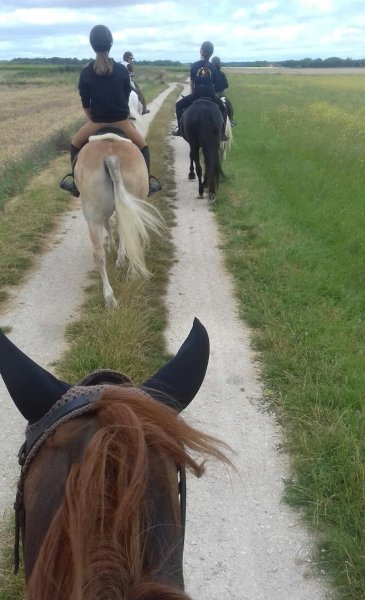 Ecurie de la Collinière EARL - photo 1