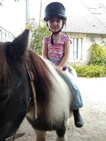 Ecurie de la Collinière EARL - photo 2