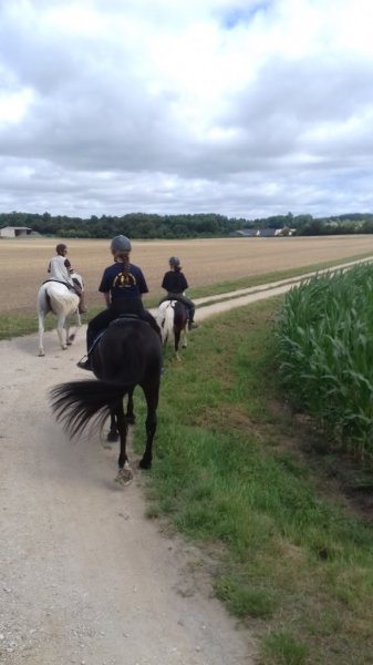 Ecurie de la Collinière EARL - photo 3