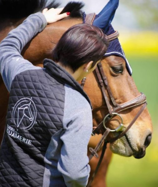Ecurie de la Bouamerie/Ecurie de propriétaire (plus de poney club/centre équestre)