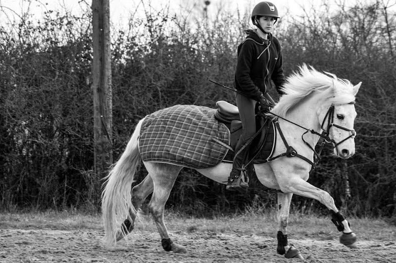 Ecurie de la Bouamerie/Ecurie de propriétaire (plus de poney club/centre équestre) - photo 3