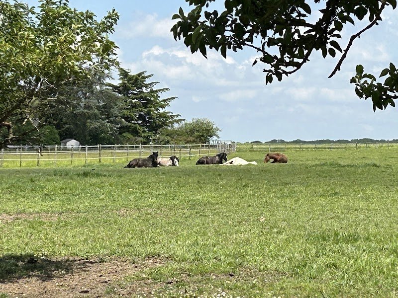 Les Ecuries de Lancôme - photo 1