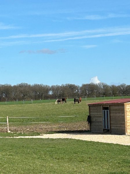 Les Ecuries de Lancôme - photo 2