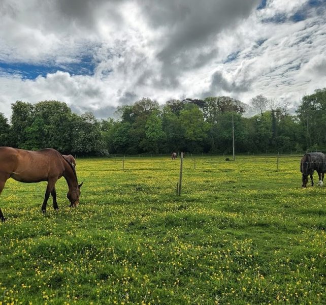 Écuries du Grand Parc - photo 1
