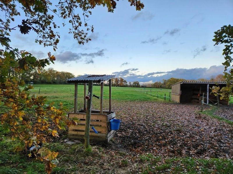 Écuries du Grand Parc - photo 3