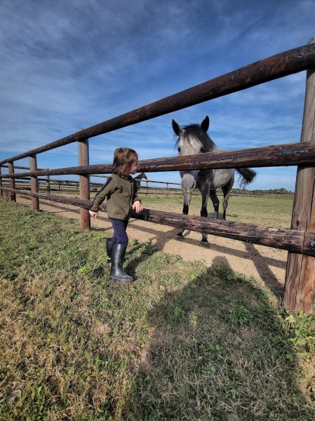 Ecuries d'Axel - photo 1