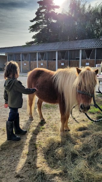 Ecuries d'Axel - photo 3