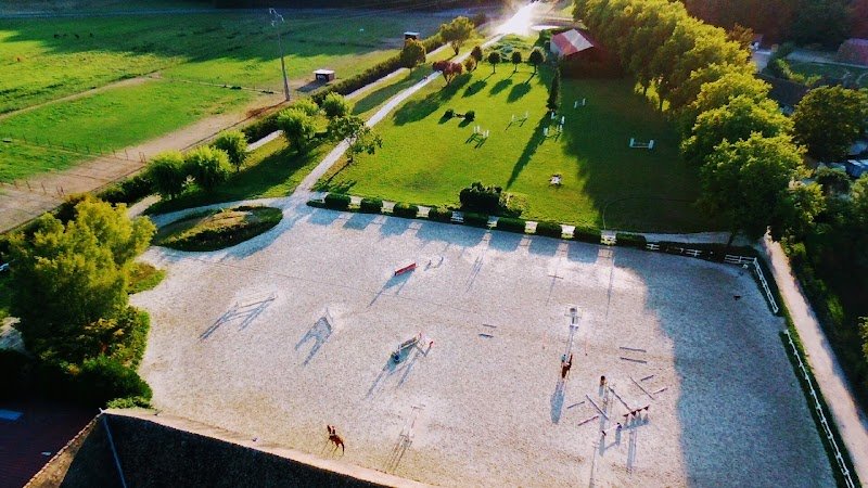 Écurie et élevage Levaillant - photo 1