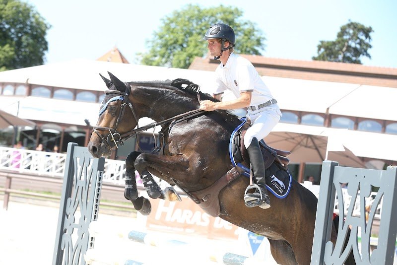 Écurie et élevage Levaillant - photo 2