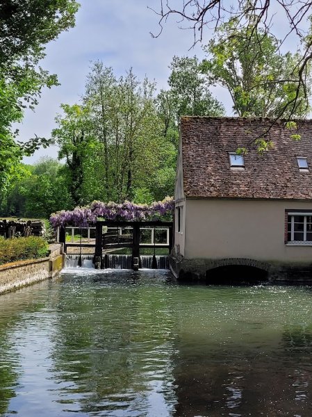 Haras d'Harmonie - photo 1