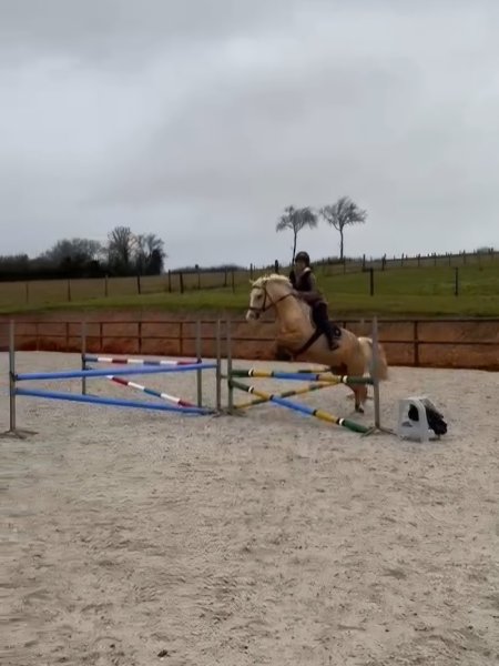 Les Ecuries d'Elo - photo 1