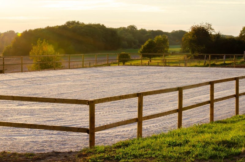 Les Ecuries d'Elo - photo 2