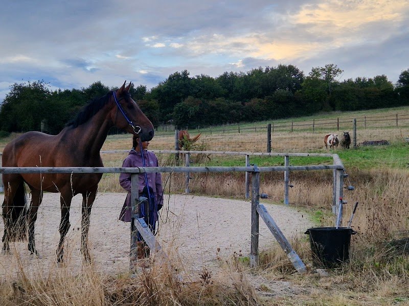 Les Ecuries d'Elo - photo 3