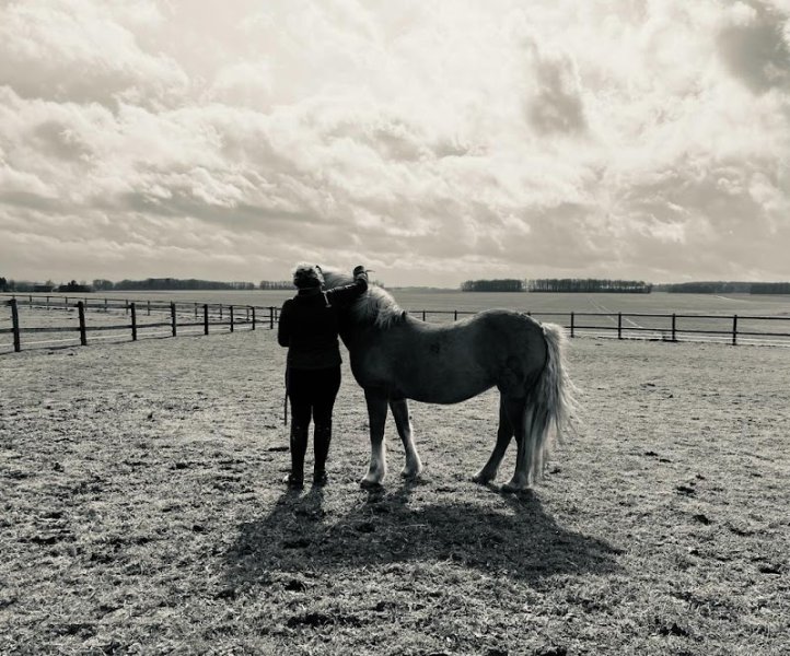 Domaine équestre Dolexia & Equitherapie