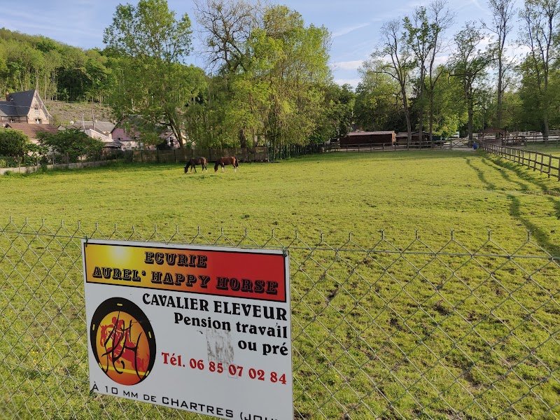 SCEA Aurel' Happy Horse