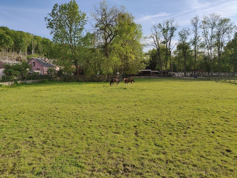 SCEA Aurel' Happy Horse - photo 2