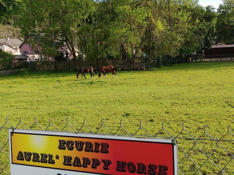 SCEA Aurel' Happy Horse - photo 3