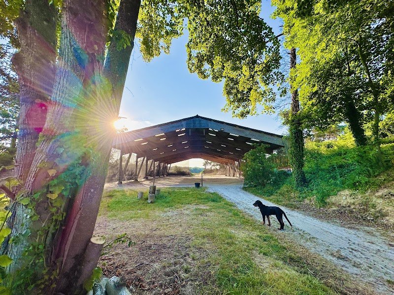 Haras de Berka - photo 3